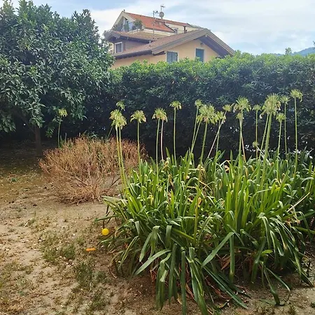 Ginestre 14 Diano Marina